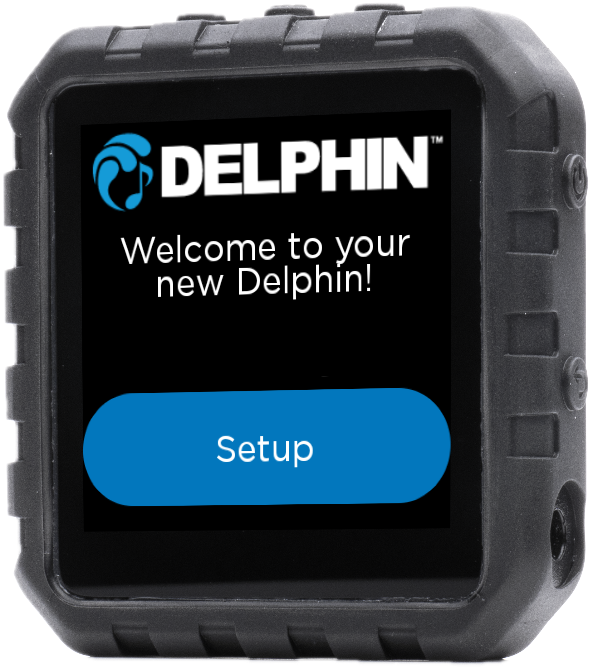 Image of the Delphin Welcome Screen