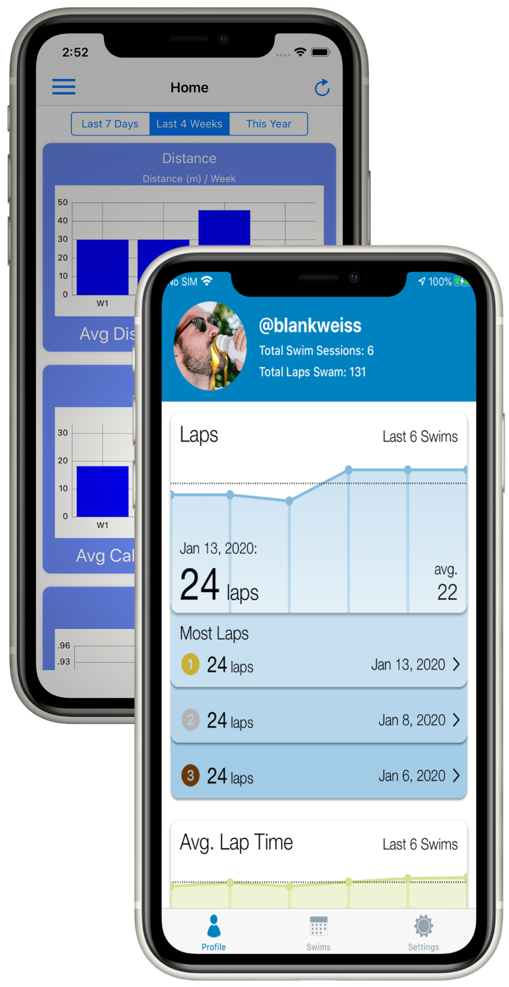 Image of the Lap Tracking Companion app interface